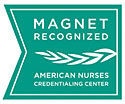 Magnet logo. Magnet logo.